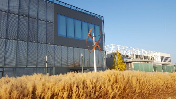mini-wind-turbine-Renewable Energy